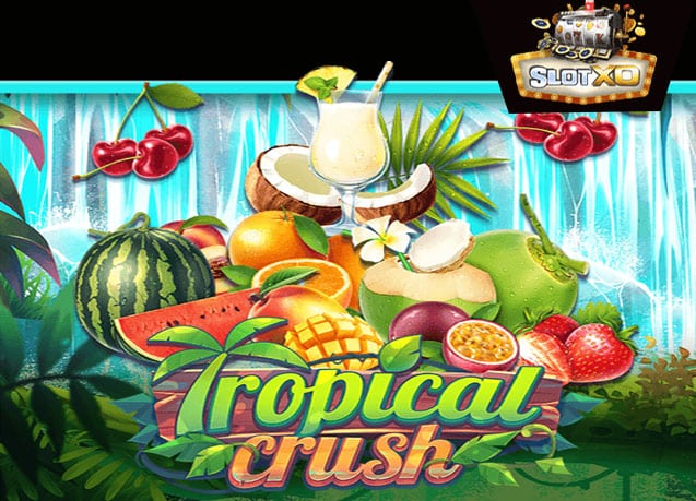 ทดลองเล่น Tropical Crush