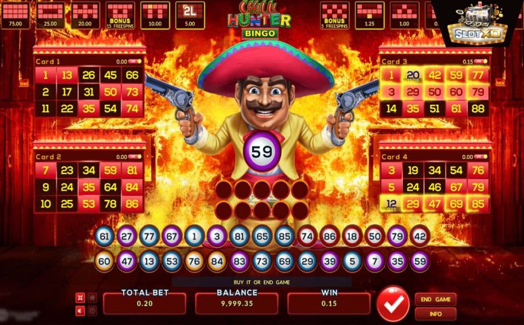 ตัวอย่างสล็อต Chilli Hunter Bingo